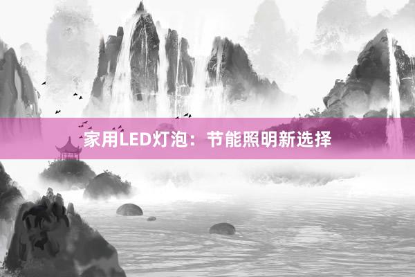 家用LED灯泡：节能照明新选择