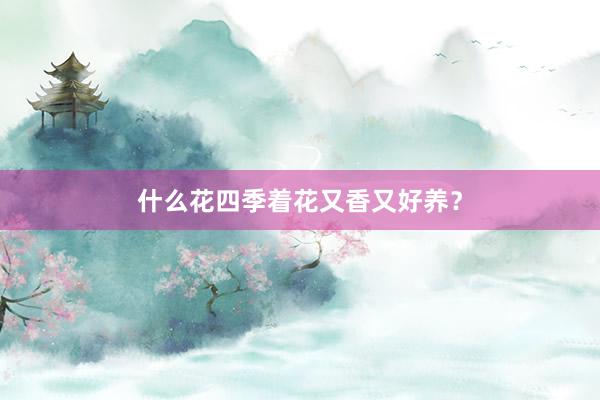 什么花四季着花又香又好养？