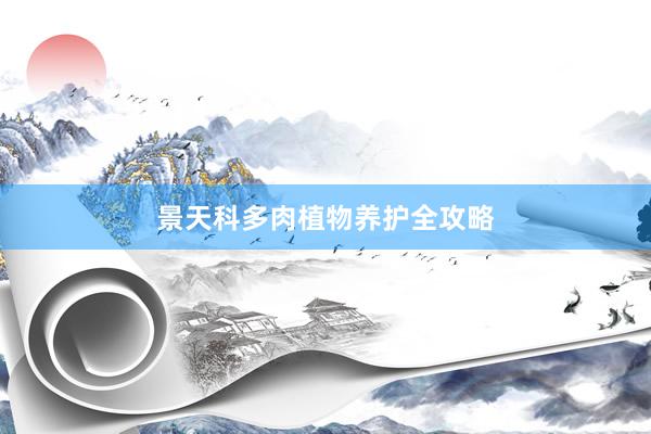 景天科多肉植物养护全攻略