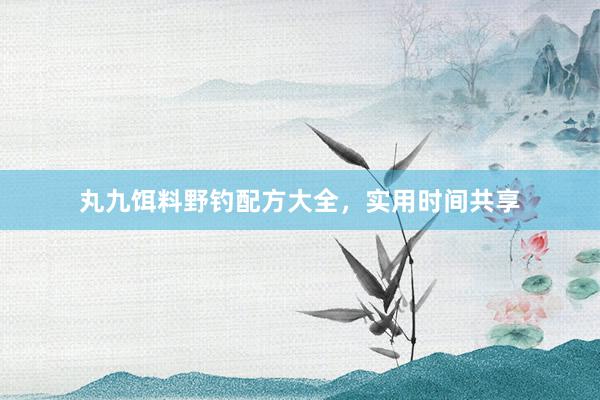 丸九饵料野钓配方大全，实用时间共享